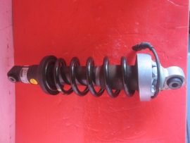 Audi - Strut - Shock - 420512019AM